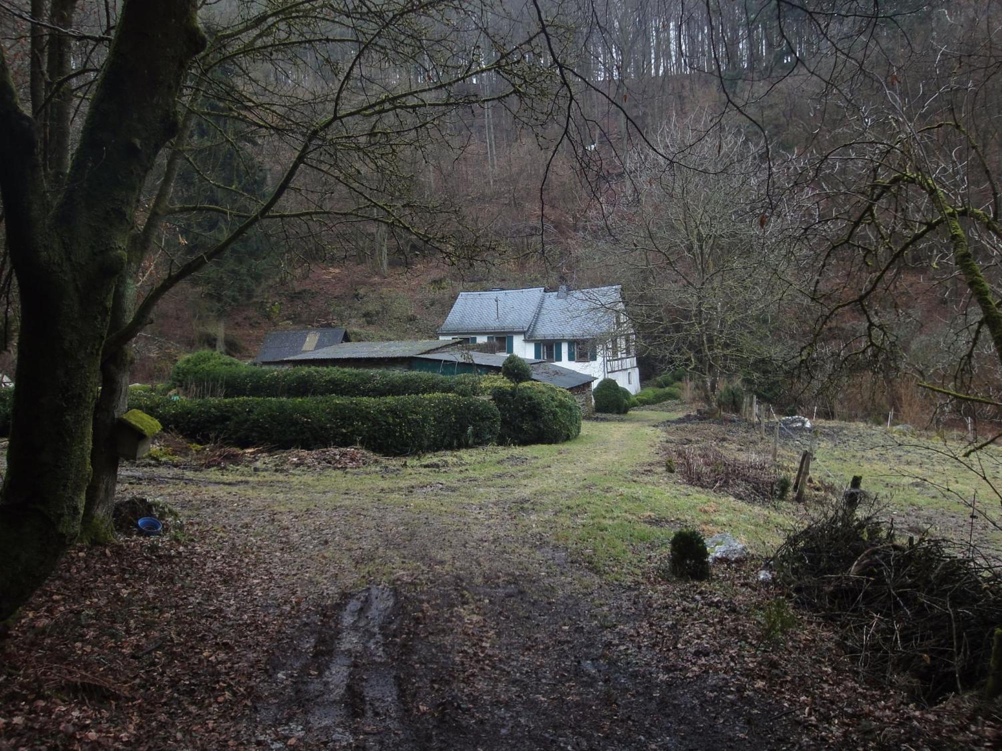 Holiday Home In Kleinich With Sauna Zewnętrze zdjęcie